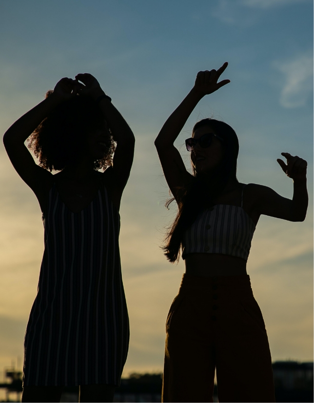 Silhouette of two fashionable females living that Domus Life - Domus Brickell Park - condo hotel Miami